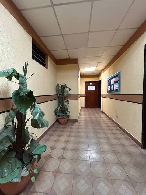 Patio con Galpón y Casa en Av. Miranda. Anaco. Ref: 1634 - Image 2