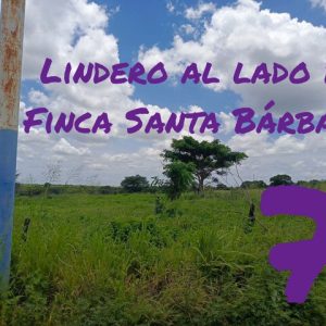 Hectáreas de Terreno a pocos metros de Fabrica de Fábricas y la UDO. Anaco. Ref: 1570