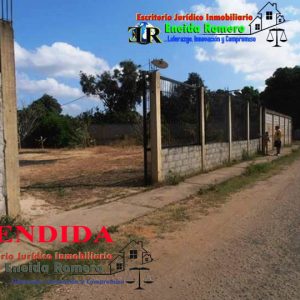¡VENDIDO! ANACO (TERRENO EL PROGRESO)