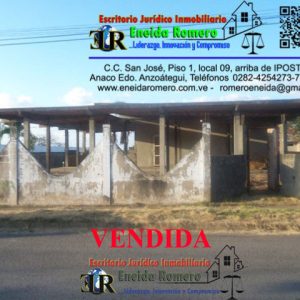 ¡VENDIDA! CASA EN ANACO (LOS PINOS)