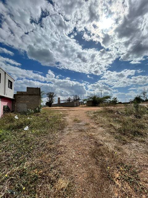 Terreno Av. Los Pilones vía Anaco Maturin. Anaco. Ref: 1605 - Image 6