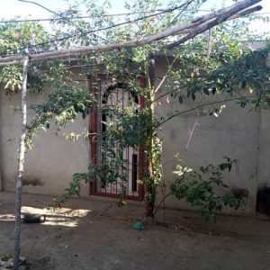 ¡ALQUILADO! Terreno con construcción en Sector Alí Primera. Anaco. Ref: 1280